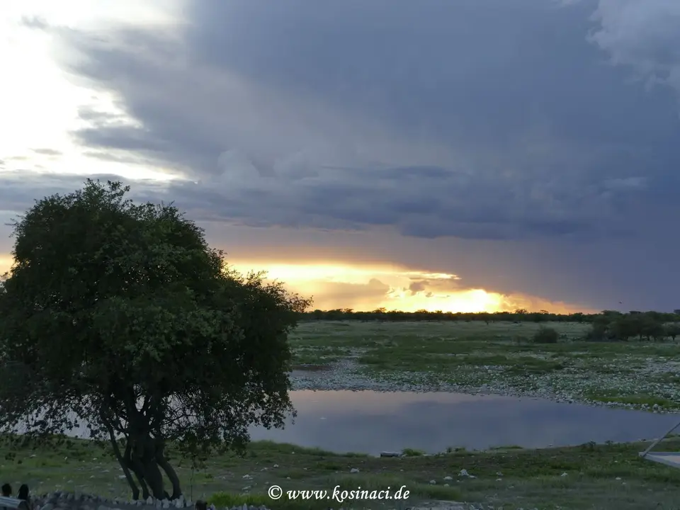 Na22_5338.JPG