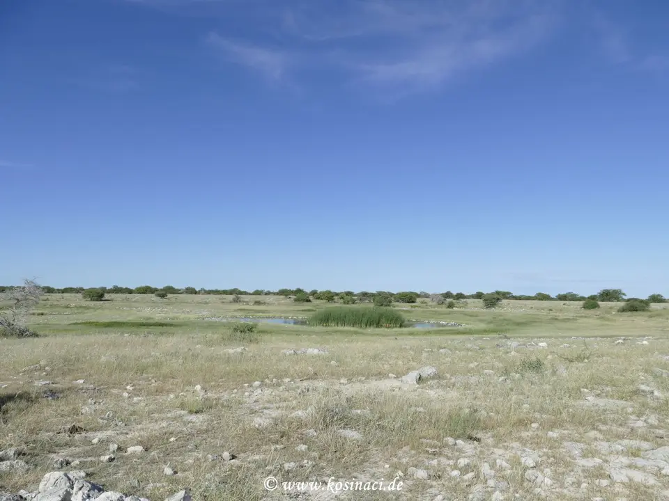 Na22_5460.JPG