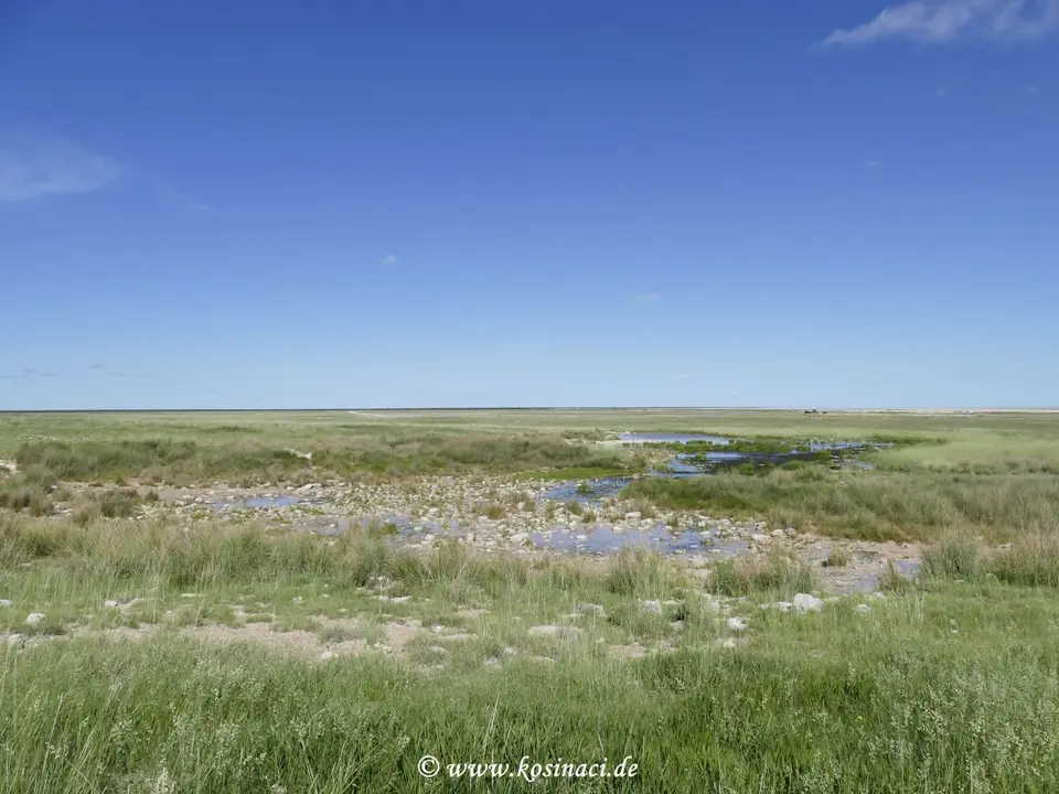 Na22_5472.JPG