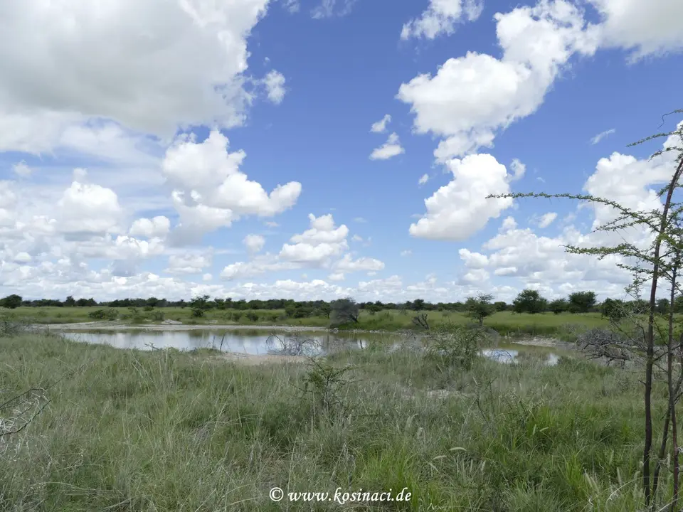 Na22_5876.JPG