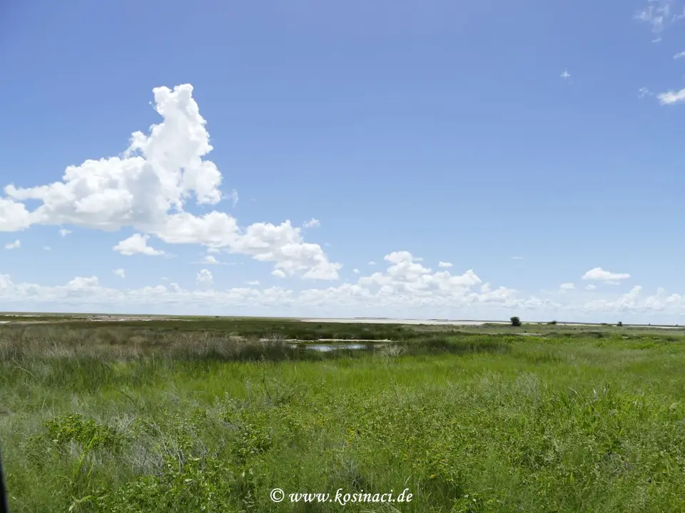 Na22_5897.JPG
