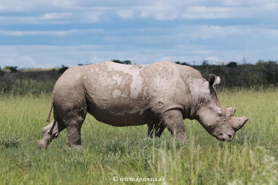 Na22_5928.JPG
