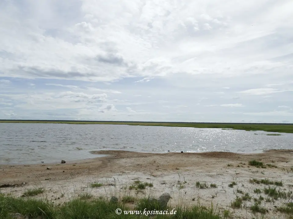 Na22_7812.JPG