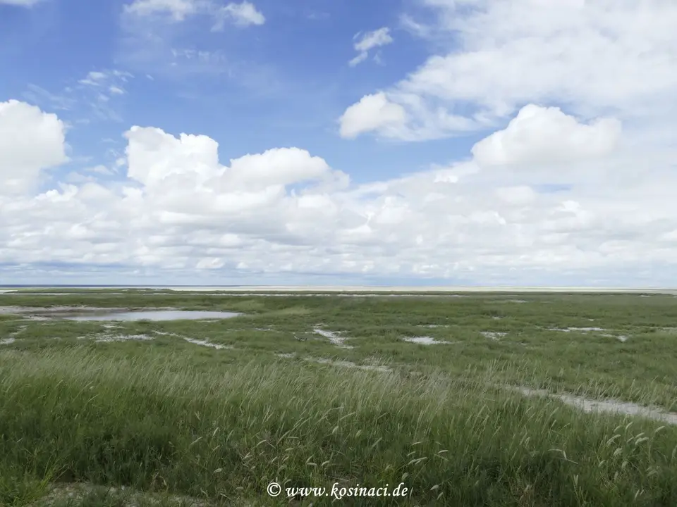 Na22_7873.JPG
