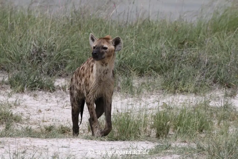 Na22_8034.JPG