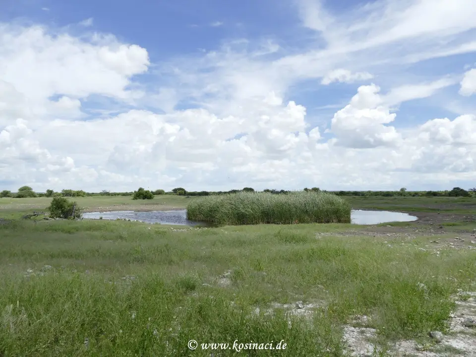 Na22_8278.JPG