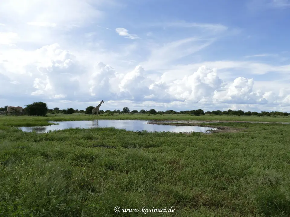 Na22_8757.JPG