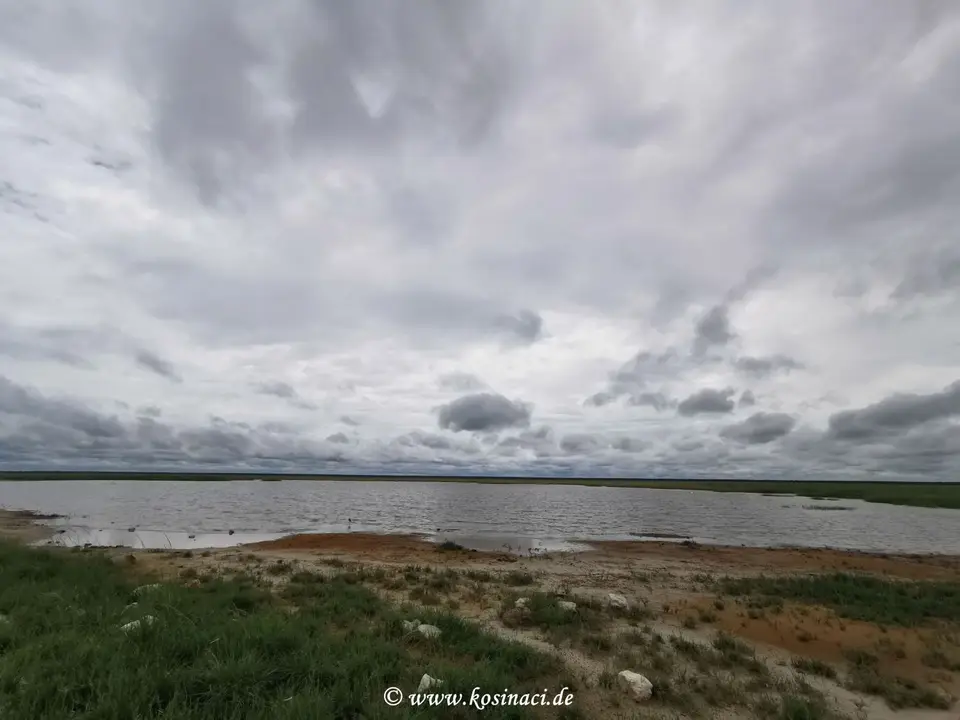 Na22_9400.jpg