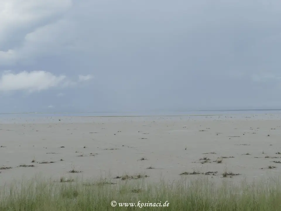 Na22_9973.JPG