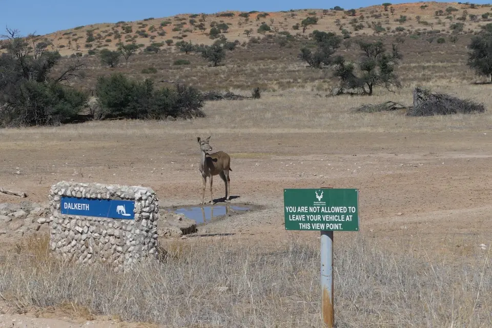 Na23_0345.JPG