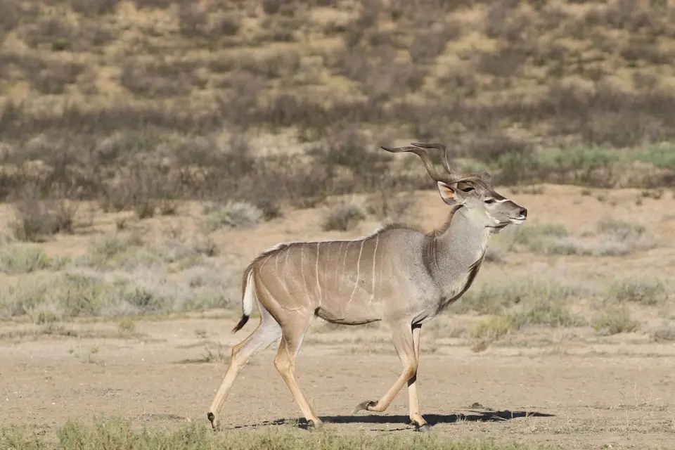Na23_0532.JPG