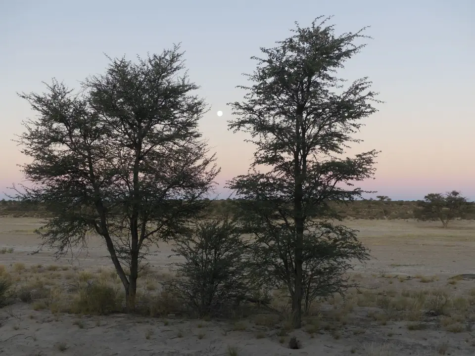 Na23_2039.JPG
