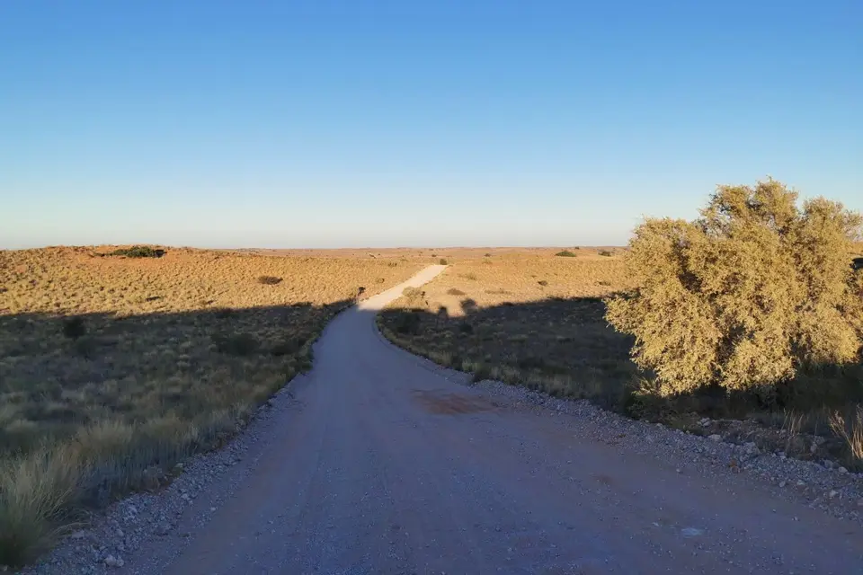 Na23_2479.jpg