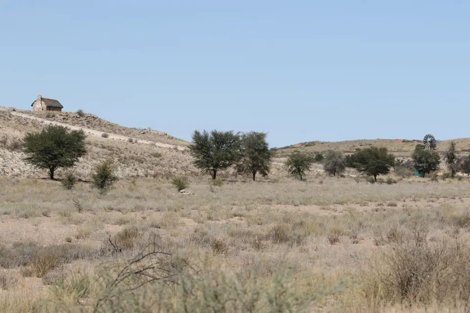 Na23_3373.JPG