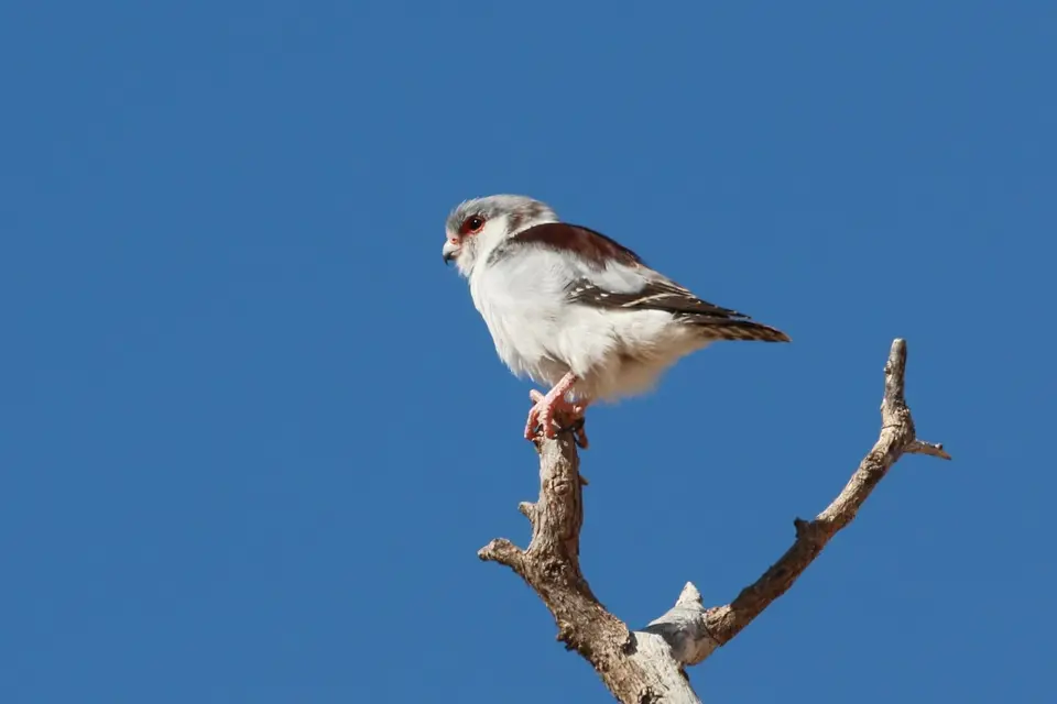 Na23_3910.JPG