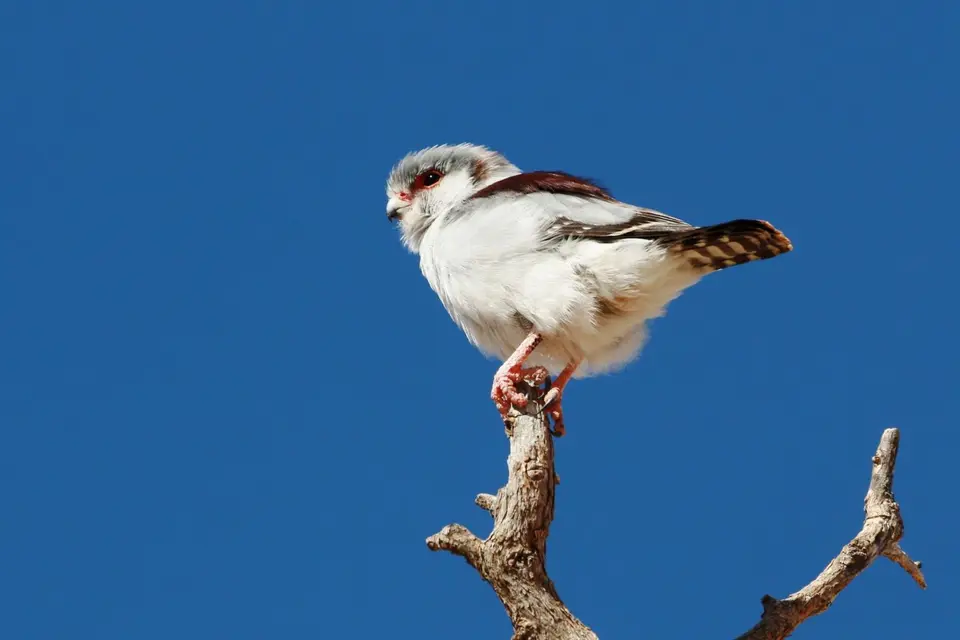 Na23_3913.JPG