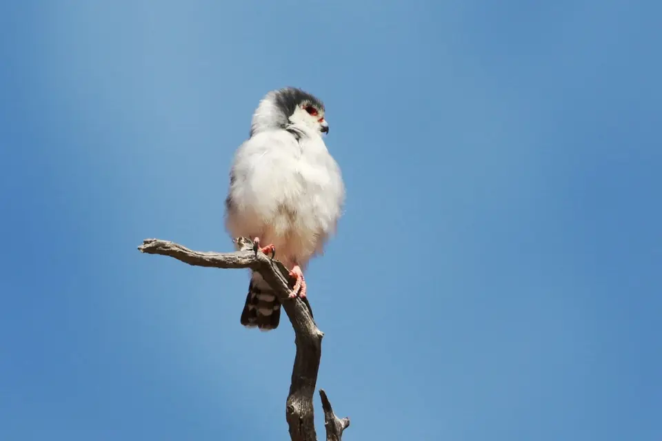 Na23_3914.JPG