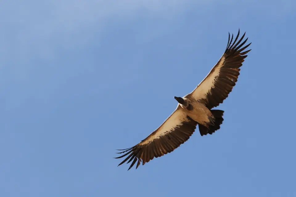 Na23_4090.JPG