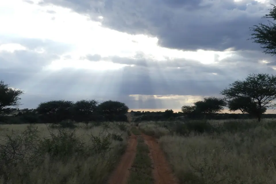 Na23_4354.JPG