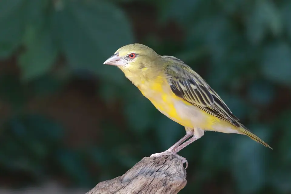 Na23_4485.JPG