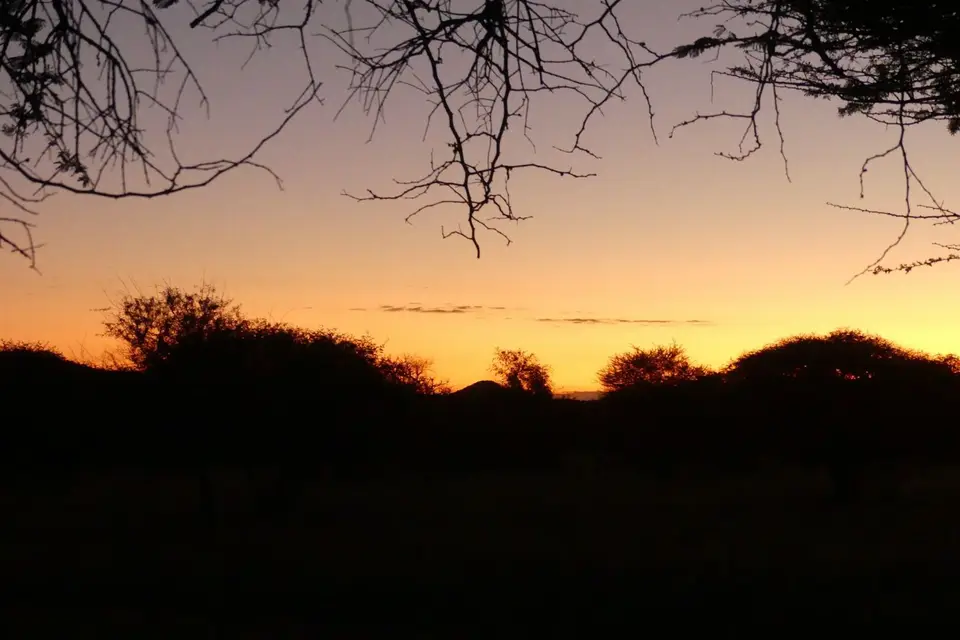 Na23_4564.JPG