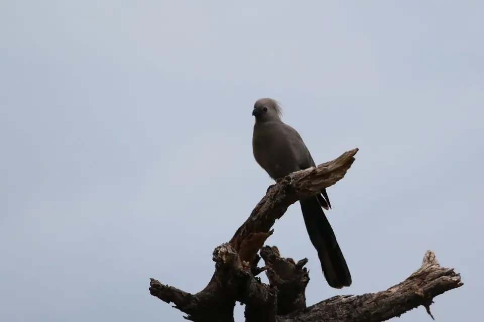 Na23_4990.JPG