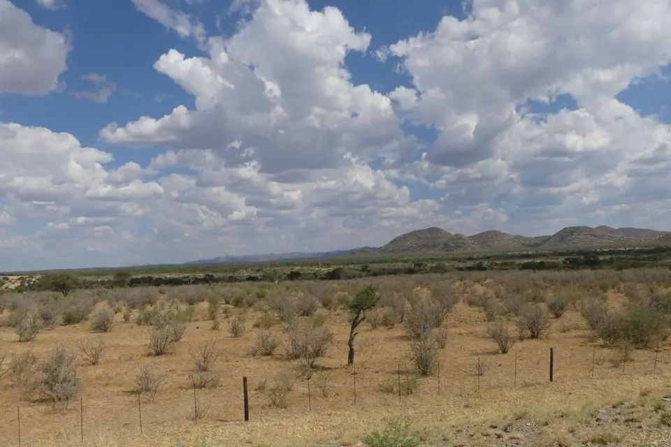 Na23_5472.JPG