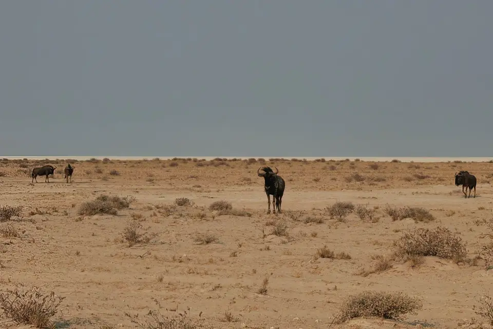 Na24b_0193.jpg