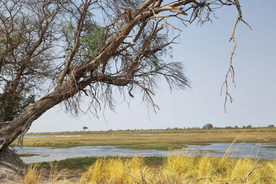 Na24b_6834.jpg