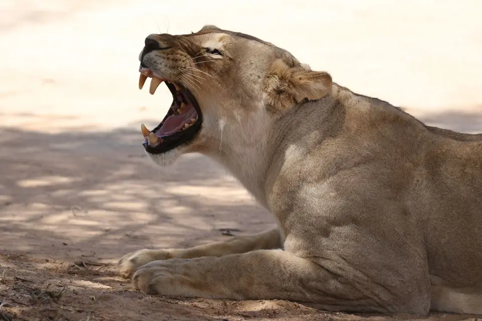 Na25a_2880.JPG