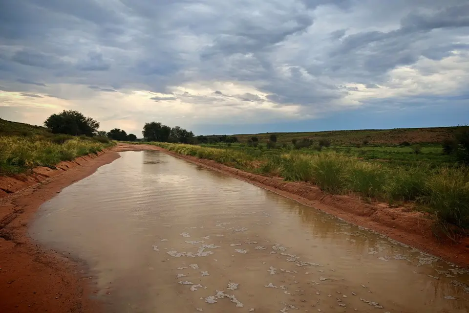 Na25a_4587.jpg