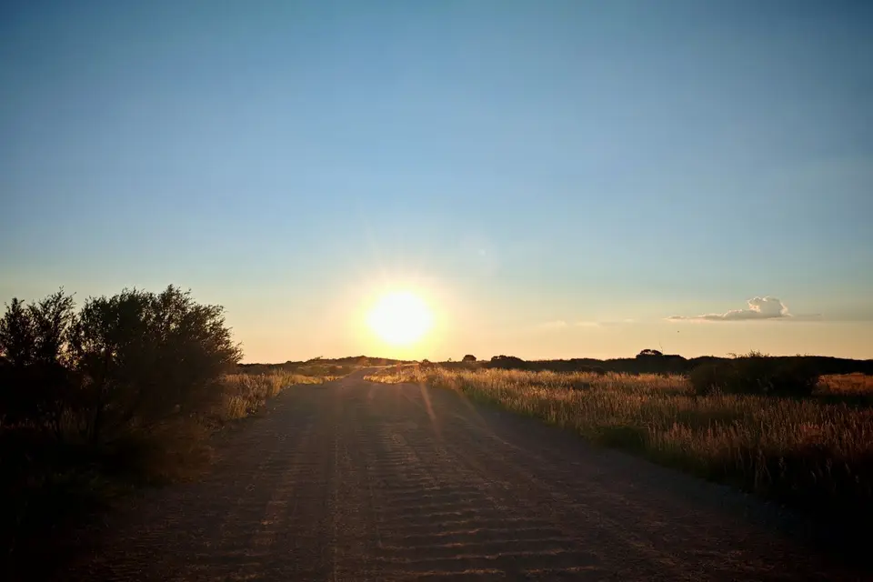 Na25a_5648.jpg