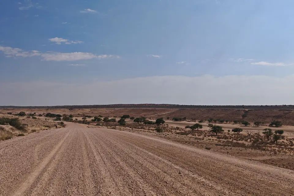 Na25b_10868.jpg