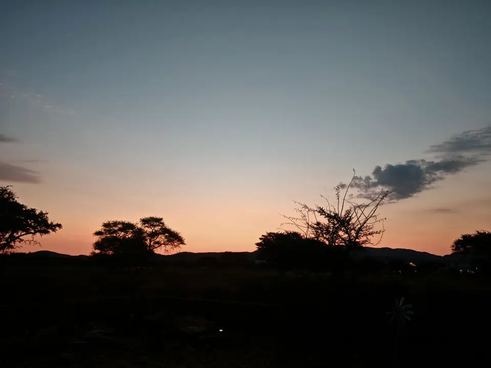 Na25b_10895.jpg