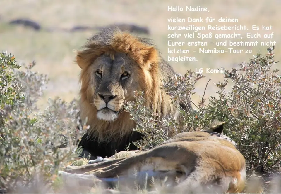 Nadine76.jpg