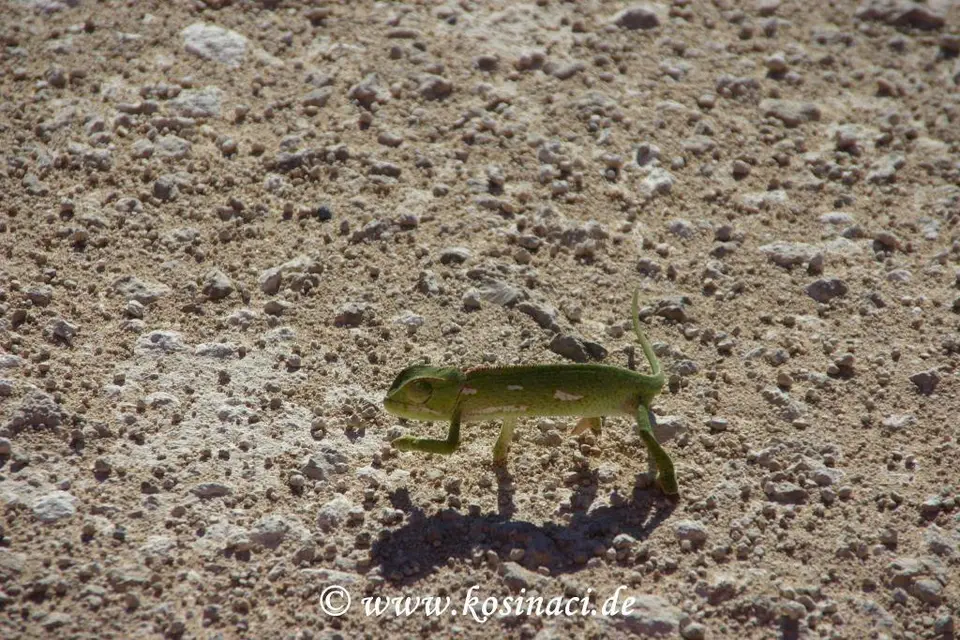 Nam07_5874.jpg