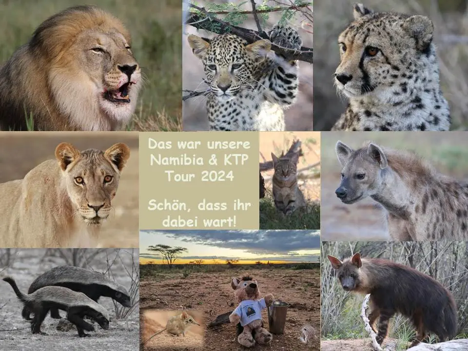 Namibia_24a.jpg