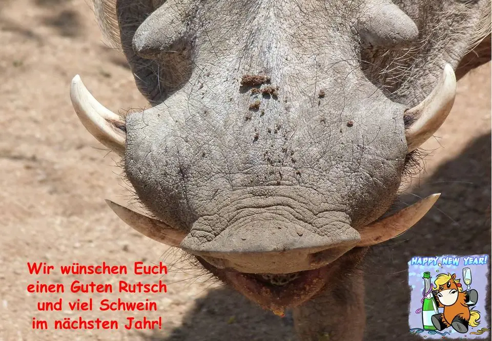 Neujahr_2017a.jpg