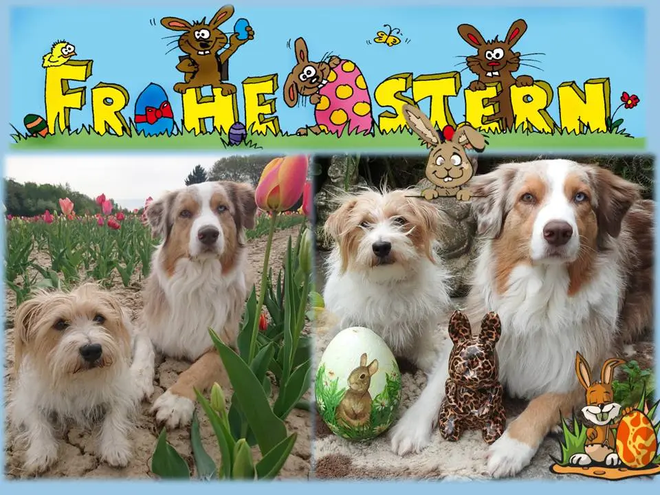 Ostern18.jpg