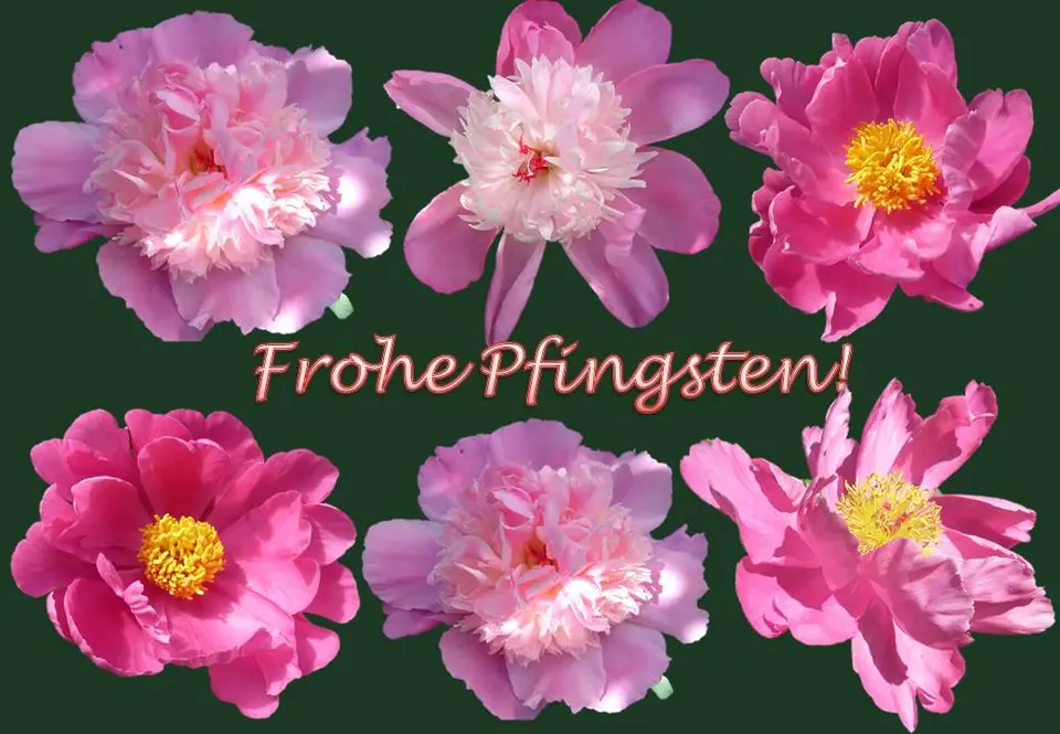 Pfingsten.jpg