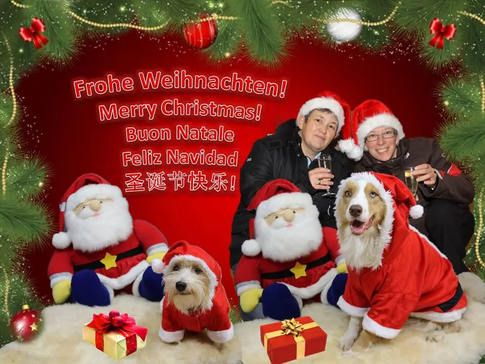 Weihnacht1.jpg