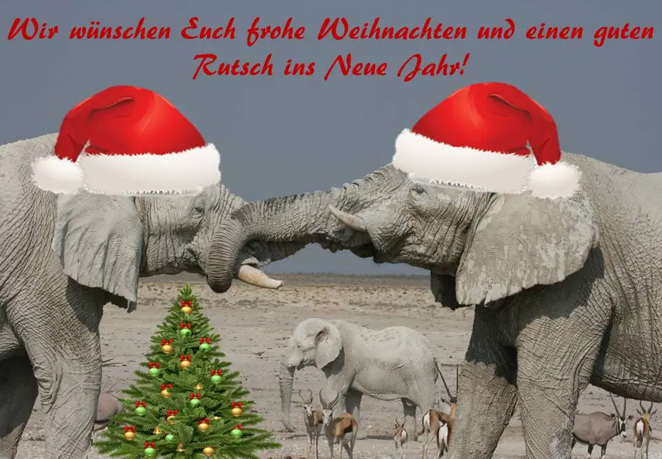 Weihnacht_2017-2.jpg