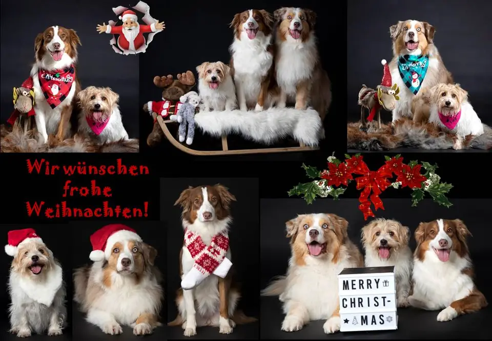 Weihnacht_24.jpg