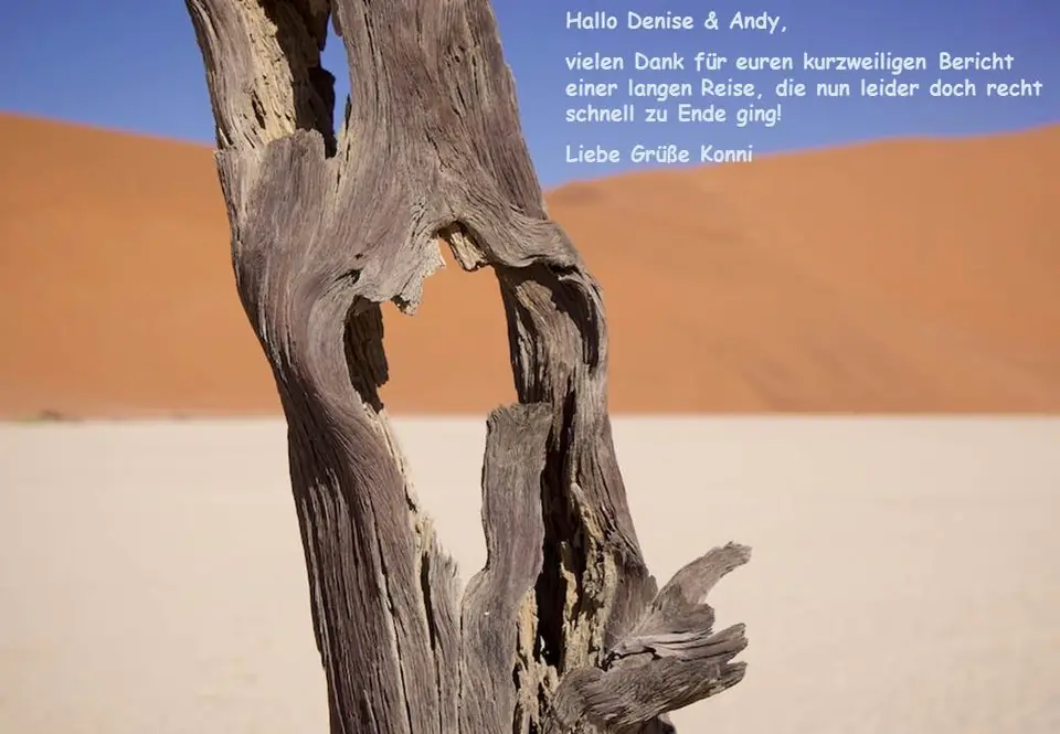 deba_26.jpg