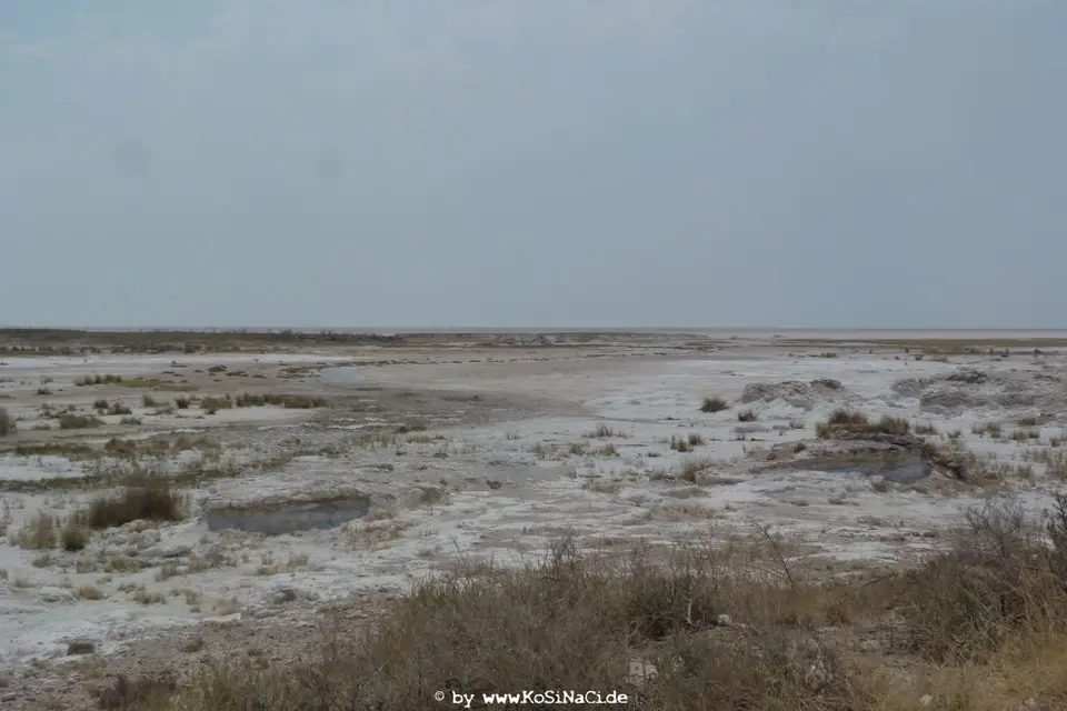 h202f175.JPG