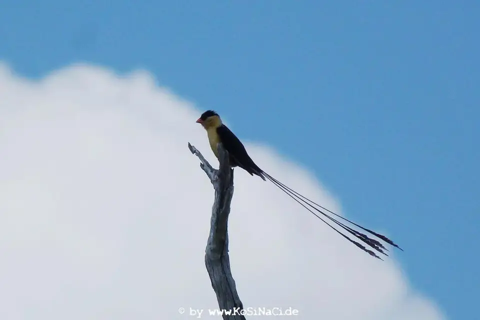 h283e6f7.JPG