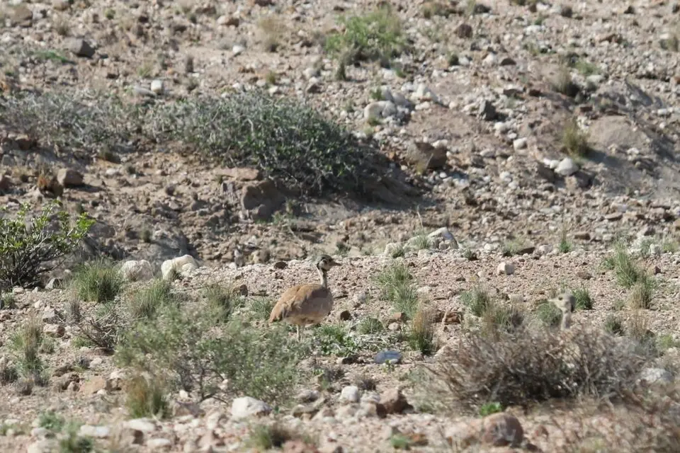 h2edff45.JPG