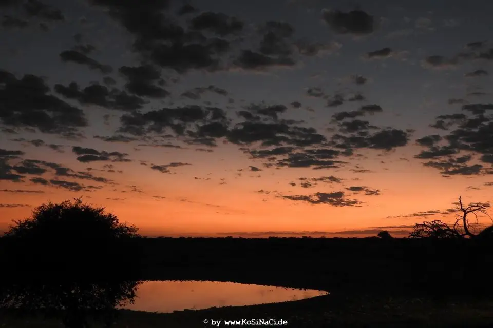 h30cf592.JPG