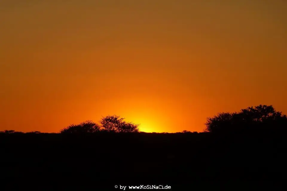 h40431f8.JPG