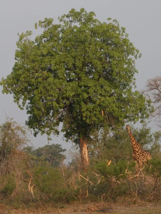 h45dfe90.JPG